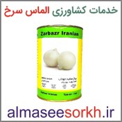 تصویر بذر پیاز سفید کشت بهاره (مهتاب - روز بلند) زر بذر ایرانیان - 500 گرم 