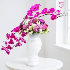 تصویر جام گل ارکیده بنفش لوسیدا 