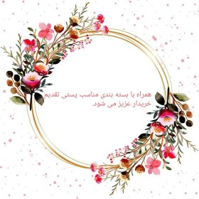 تصویر SDخوانPS2 پک 2عددی 