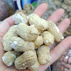 تصویر بادام زمینی غلاف دار - ۱کیلو گرم Shelled peanuts