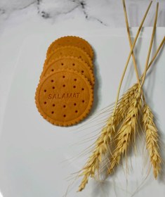 تصویر قالب بیسکوئیت سلامت Salamat Biscuit mold