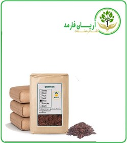 تصویر جفت بلوط خشک فله 