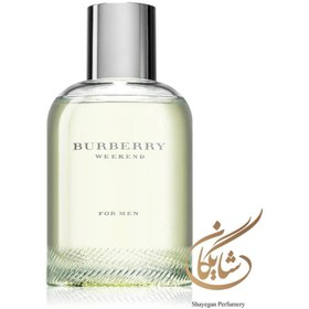 Burberry weekend eau hot sale de toilette 100ml