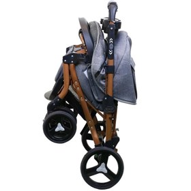 تصویر کالسکه دلیجان مدل بنیتا benita stroller 