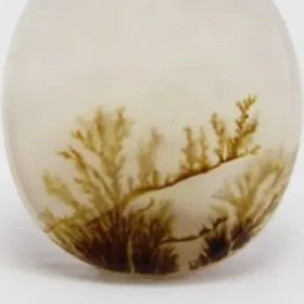 تصویر سنگ شجر کد 2314 