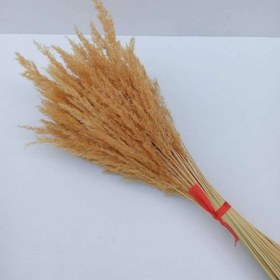 تصویر گل قمیش (دسته حجمی) رنگ طبیعی