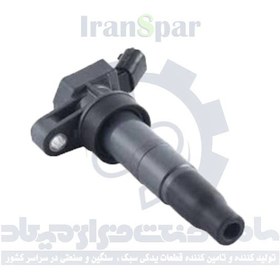 تصویر کوئل سوناتا YF 