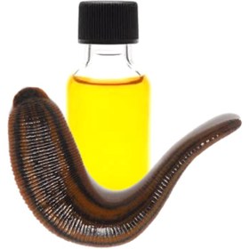 تصویر روغن زالو 