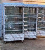 تصویر جوجه گردون ۶ سیخ 