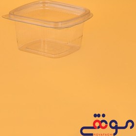 تصویر ظرف دلی 200درب لولایی(تعداد درکارتن1000) 