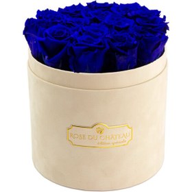 تصویر Blue Eternal Roses in a Beige Flocked Box | کد: ZNB-1JAS 