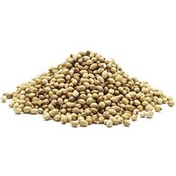 تصویر تخم گشنیز نیم دان آسیابی 