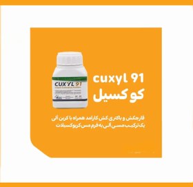 تصویر قارچکش و باکتری کش مسی کوکسیل 91 250 گرمی CUXYL 91