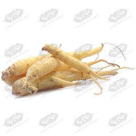 تصویر جینسینگ سفید (جنسینگ سفید) 