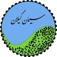 تصویر سیمان گیلان سبز فله تیپ۲ siman