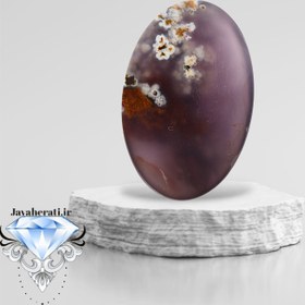 تصویر نگین شجر هفت رنگ زمینه سوسنی فردوس 