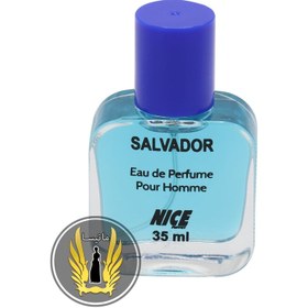 تصویر عطر جیبی مردانه مدل Salvador حجم 35 میل نایس Nice men's pocket perfume, Salvador model, volume 35 ml