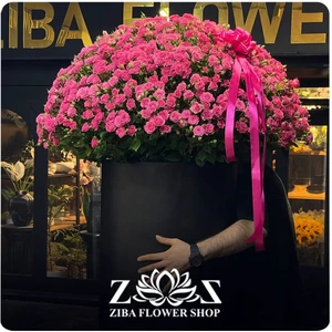 تصویر فروشگاه زیبا گل