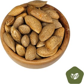 تصویر بادام سنگی 