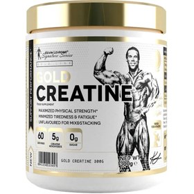 تصویر گلد کراتین کوین لورون 500 گرمی KEVIN LEVRONE GOLD CREATINE 