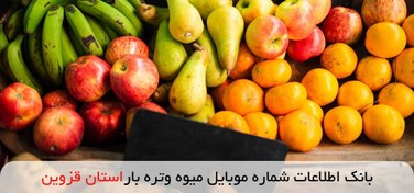 تصویر بانک اطلاعات شماره موبایل میوه و تره بار استان قزوین 