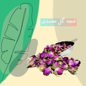 تصویر غنچه گل محمدی ارگانیک 