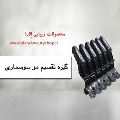 تصویر گیره تقسیم مو سوسماری 