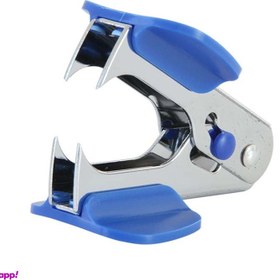 تصویر سوزن کش کوچک دلی 