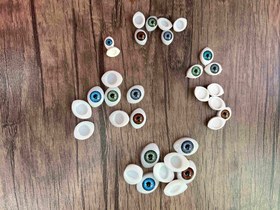 تصویر چشم قابدار بیضی 