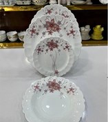 تصویر ارکوپال ۲۵ پارچه مقصود مدل رکسانا صورتی 