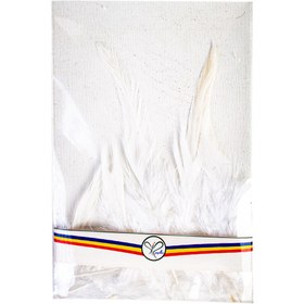 تصویر پر سفید 