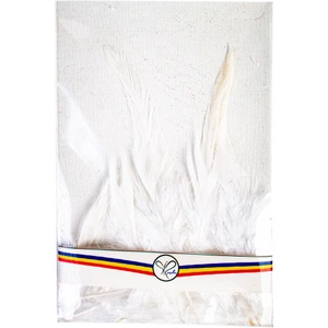 تصویر فروشگاه هایپر تولد رنگین کمان