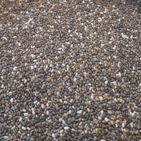 تصویر دانه چیا هندی - 100 گرم 