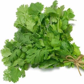 تصویر بذر گشنیز 