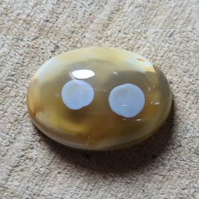 تصویر باباقوری دوچشم طبیعی خاص زیبا. 