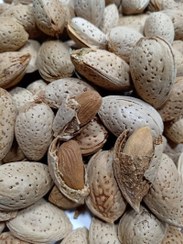 تصویر بادام درختی درجه 1 (بادام سنگی) - 1000 گرم Iranian Almond Grade 1