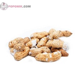 تصویر بادام زمینی غلاف دار - ۱کیلو گرم Shelled peanuts