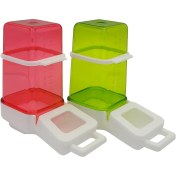 تصویر دانخوری سیلویی آرش حجم 300 گرم - yukaparrot 