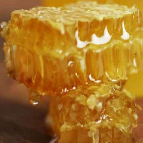 تصویر عسل گون 