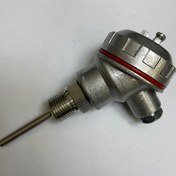 تصویر سنسور دما RTD-PT100 کلگی دار رزوه ۱/2 قلاف قطر ۶ میلیمتر طول ۱۰ سانتی متر SS316 