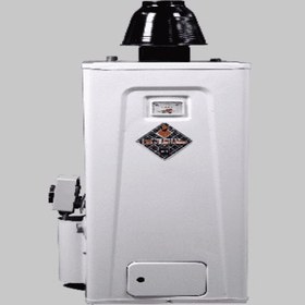 تصویر آبگرمکن گازسوز دیواری طلای ابی مدل 401 