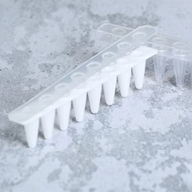 تصویر Strip of 8 microtubes 0.1 ml, Applied Biosystems™ (ABI)(1000Pcs) 