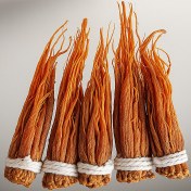 تصویر جینسینگ قرمز (ریشه) 