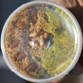 تصویر معجون عربی ۵۰۰ گرمی 