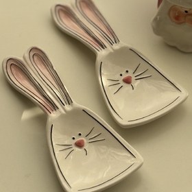 تصویر زیرکفگیری خرگوشی 