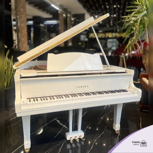 تصویر فروشگاه پیانو فروش
