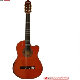 تصویر گیتار کلاسیک تاپ سان Tapesun 613 