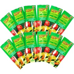 تصویر برنزه کننده فلورسان مدل (SOFT MANGO NECTAR) پک 12 عددی – FLORESAN 