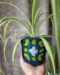 تصویر خرید گیاه گندمی برای طراحی فضای داخلی آشپزخانه 