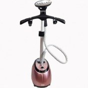 تصویر اتو بخار ایستاده دی اس پی مدل KD6019 ظرفیت ۲.۱ لیتر 